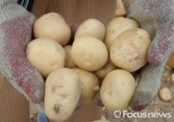 thumbimg
